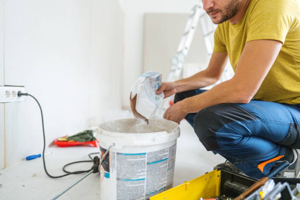 Mold Odor Removal Services in Grinnell, IA